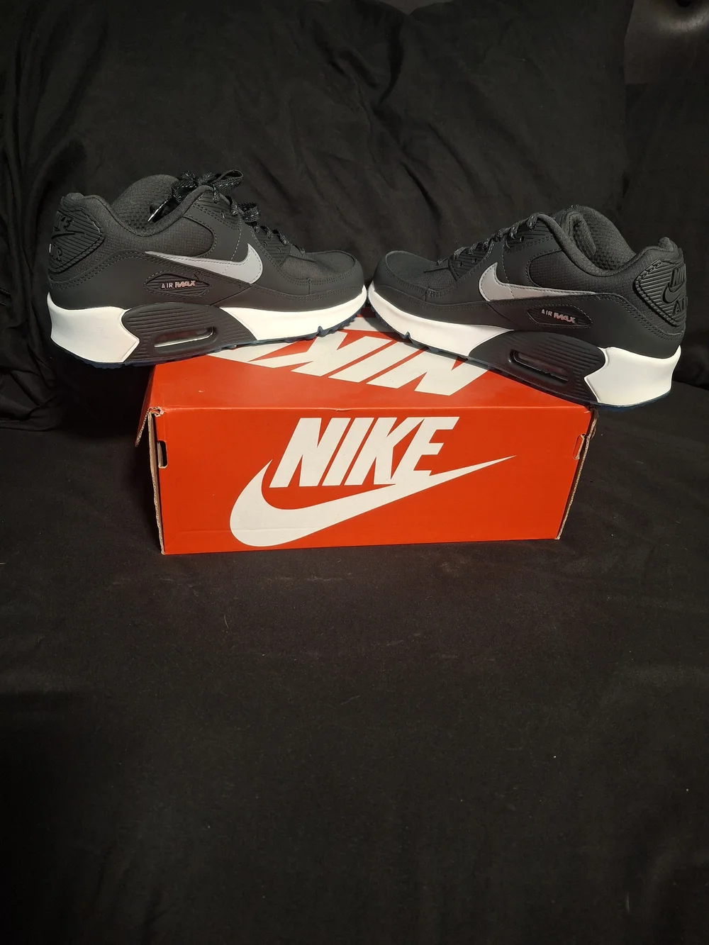 Nike Air Max Low Top Sneakers in Black and White